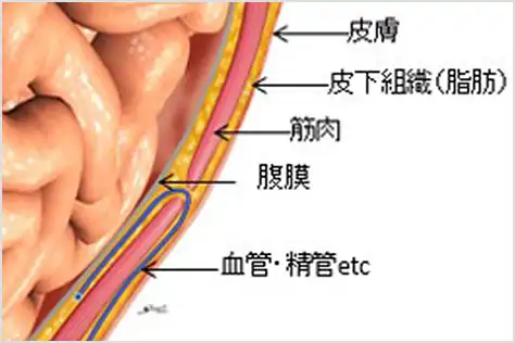 正常な状態