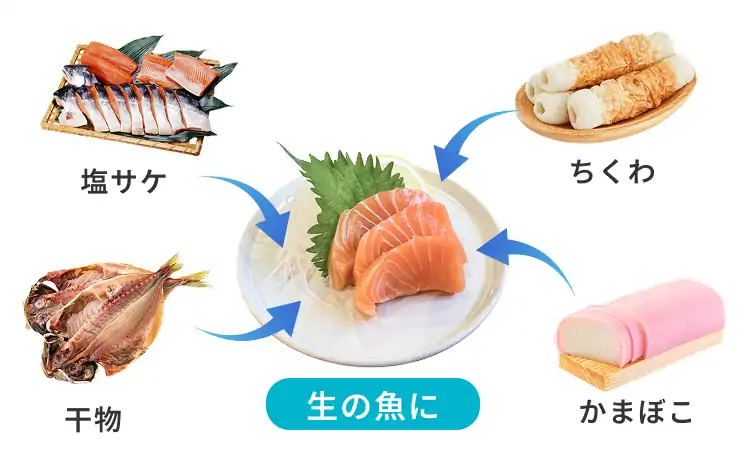 生の魚に