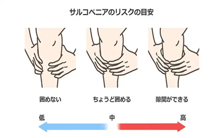 サルコペニアのリスクの目安