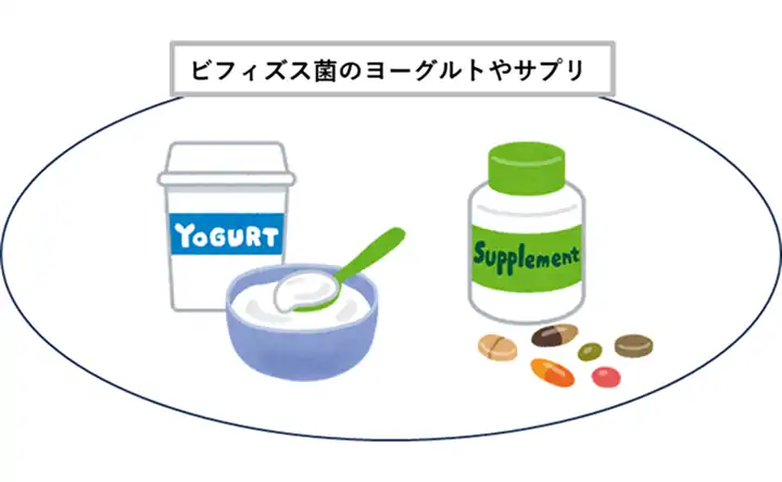 ビフィズス菌のヨーグルトやサプリ